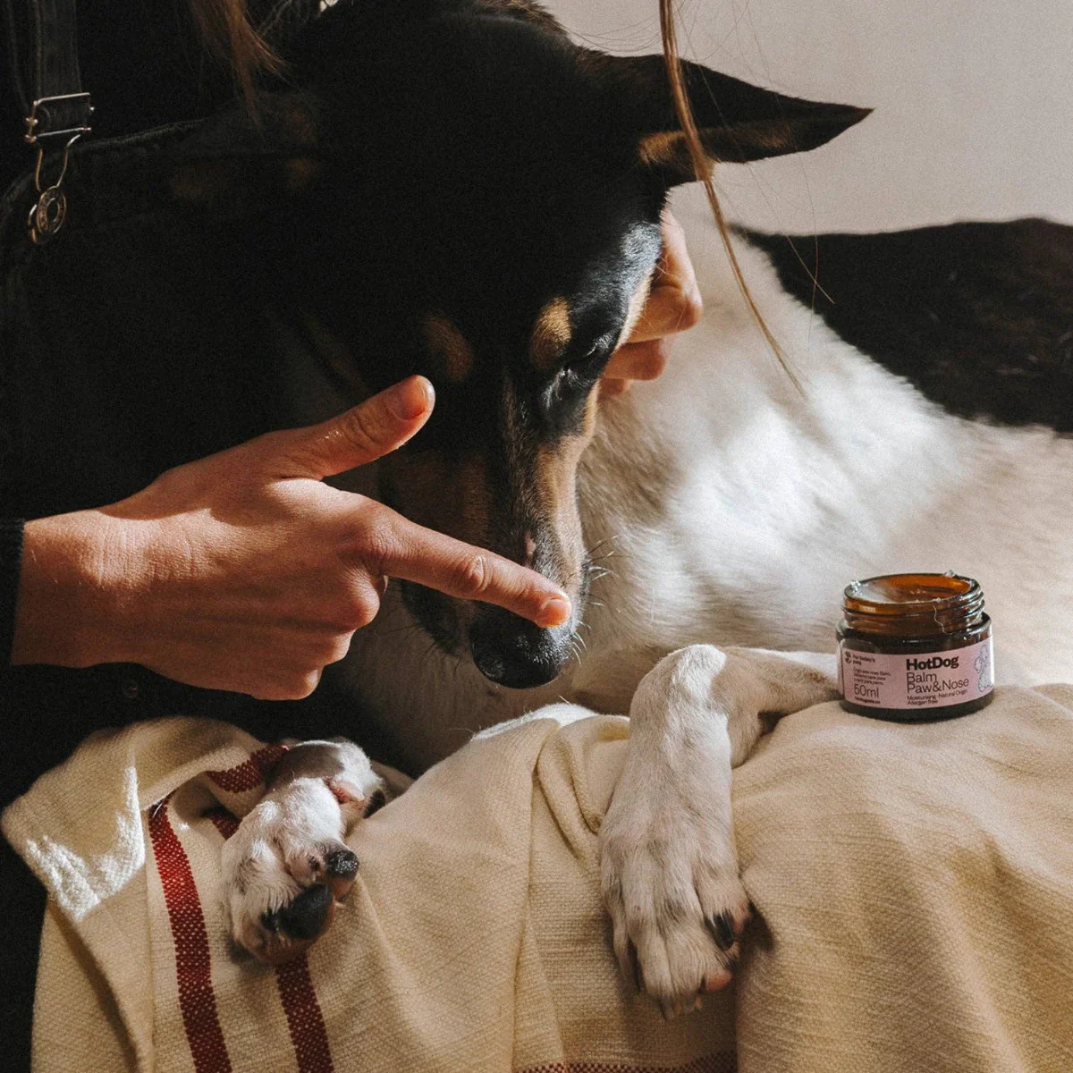 Dog Balm Protect - Image 3