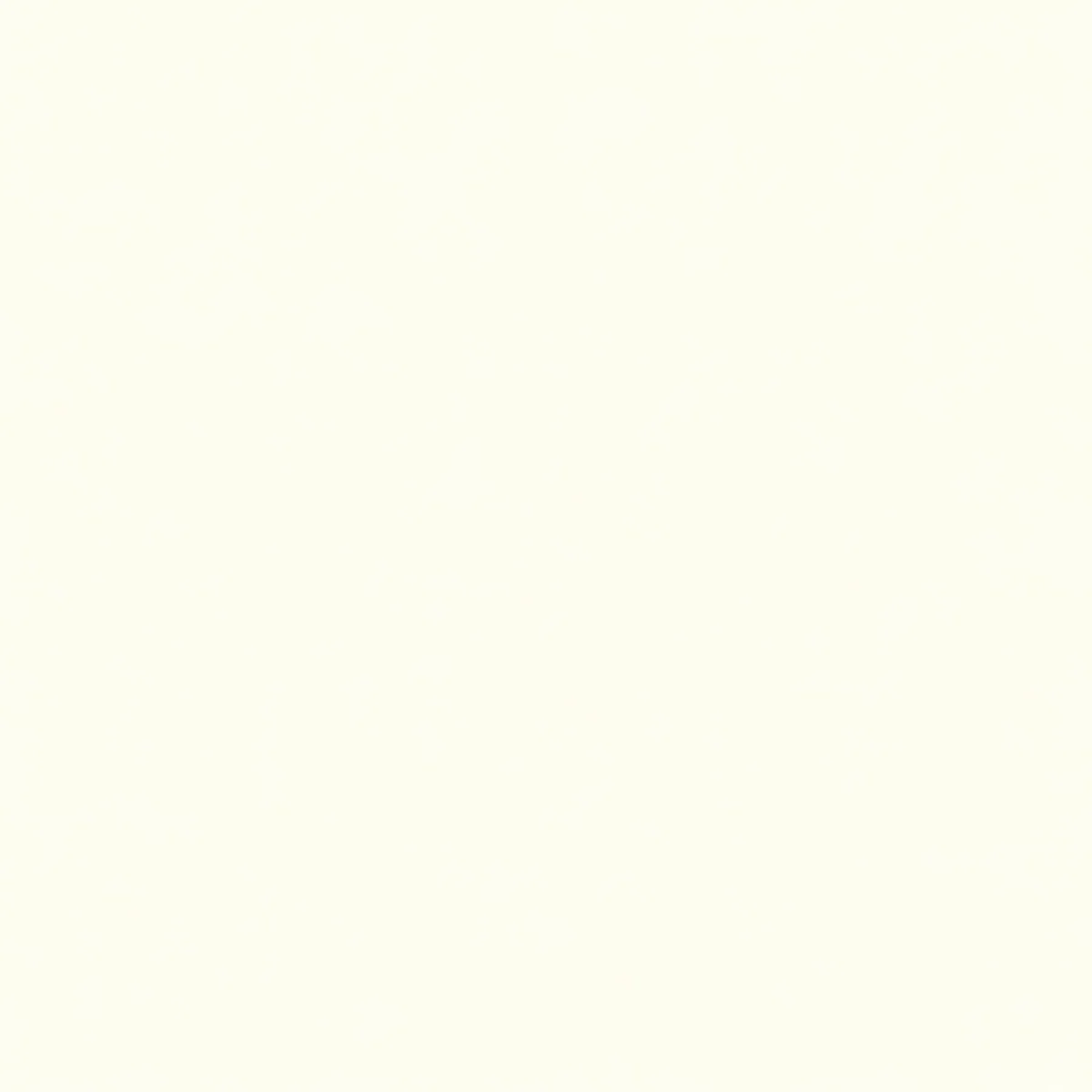 The Container - Image 11